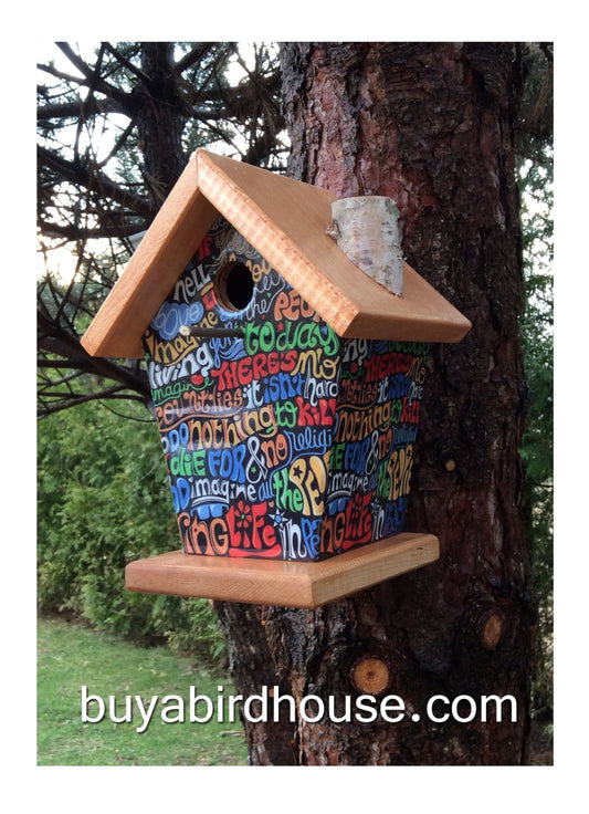 Imagine Birdhouse