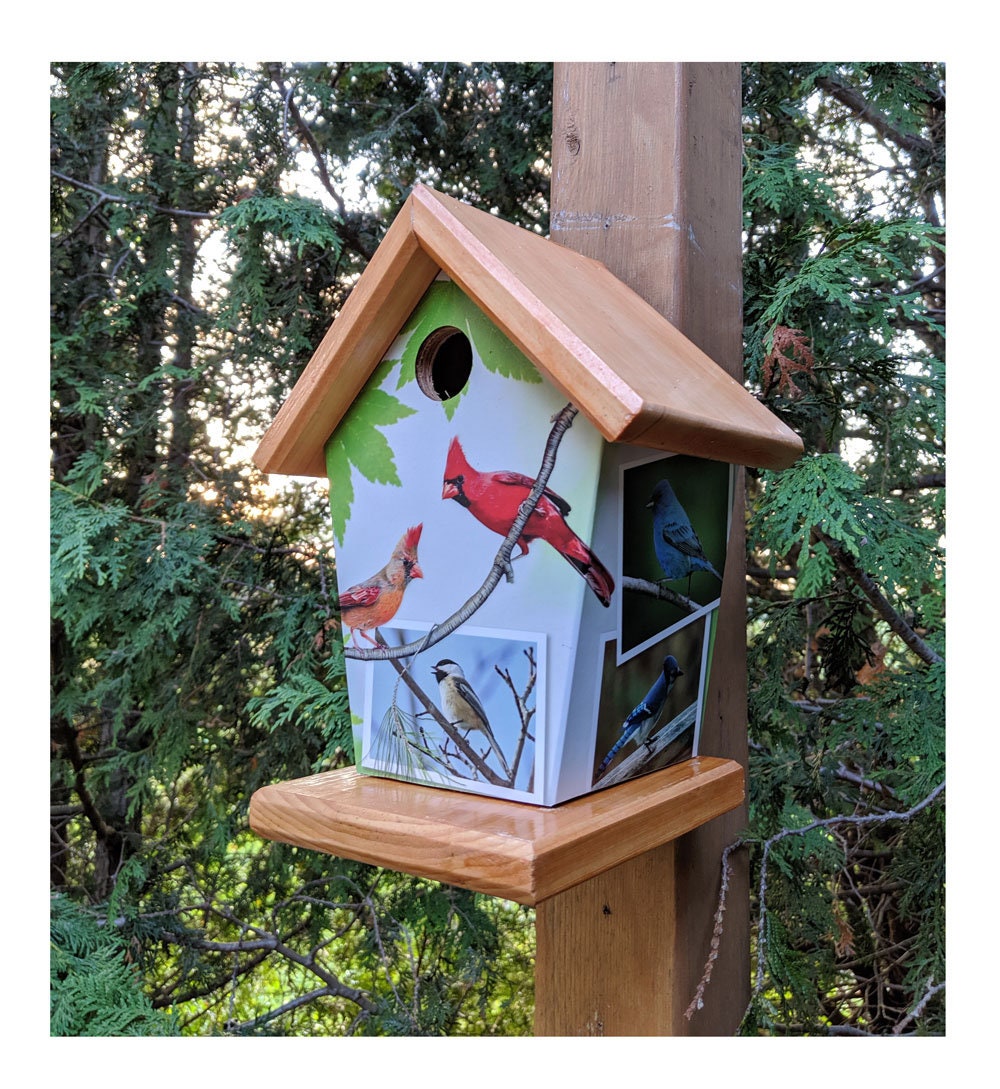 Cardinals and other birds of Ontario Birdhouse/Feeder