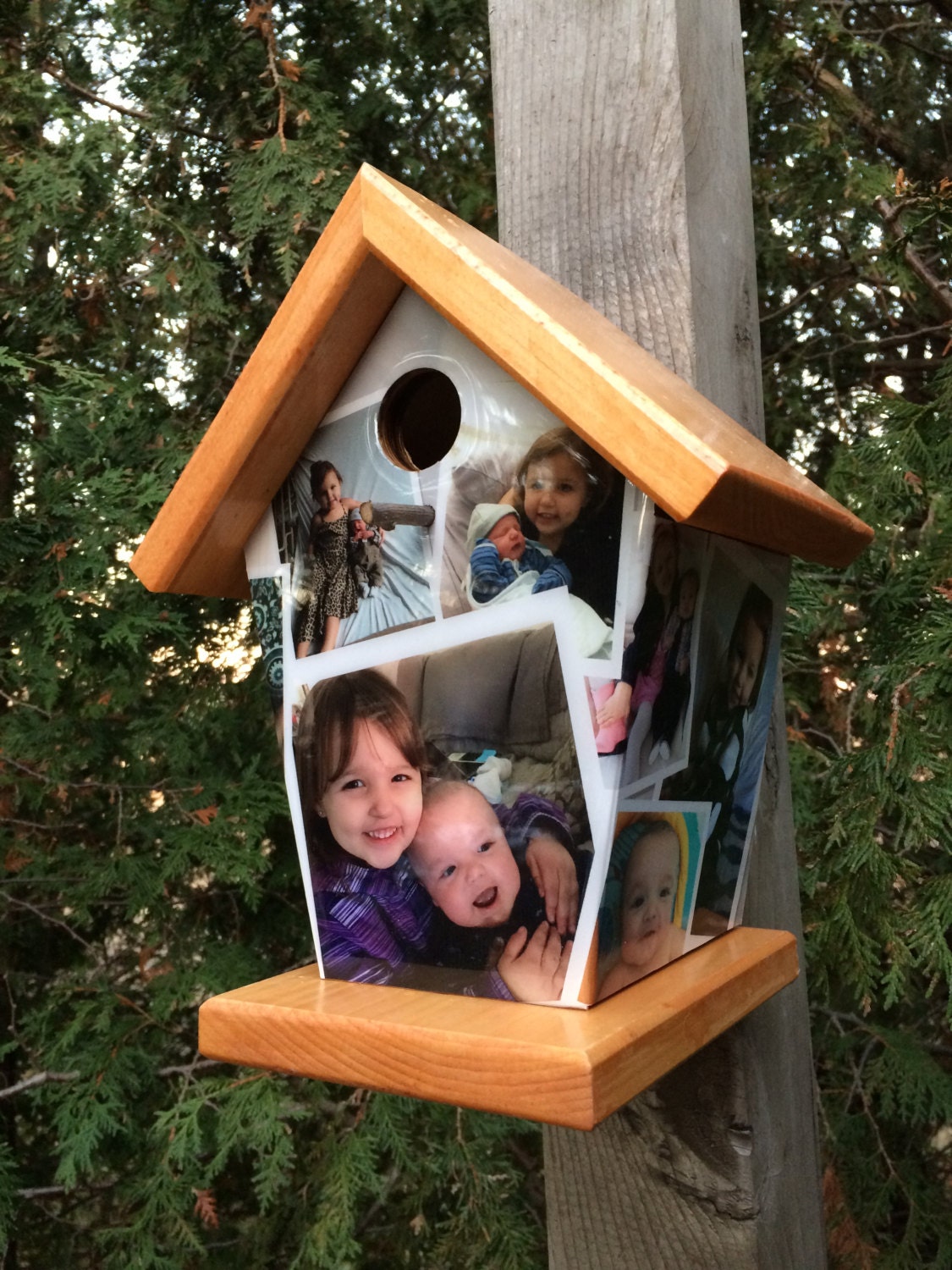 Personalized Photos Birdhouse (Multiple 6-8 Pictures)