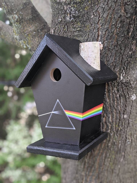 Pink Floyd Birdhouse