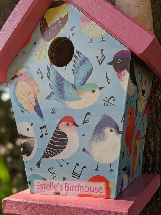 Songbirds (Pink Roof) Birdhouse