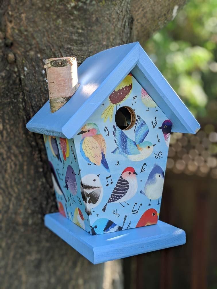 Songbirds (Blue Roof) Birdhouse/Feeder