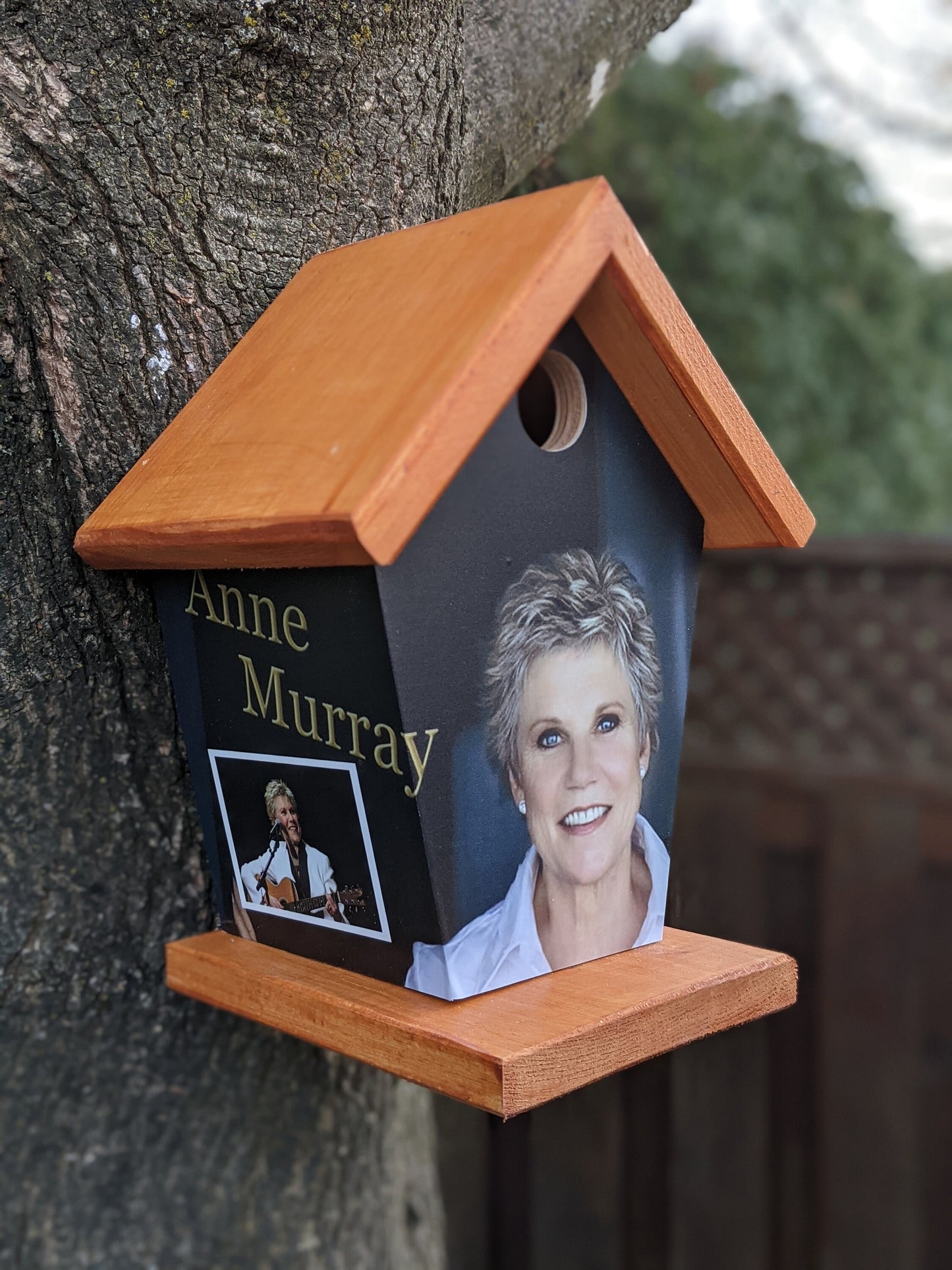 Anne Murray Birdhouse