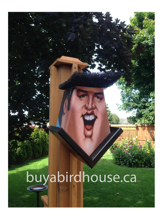 Elvis Presley (Hole in Ear) Birdhouse Music