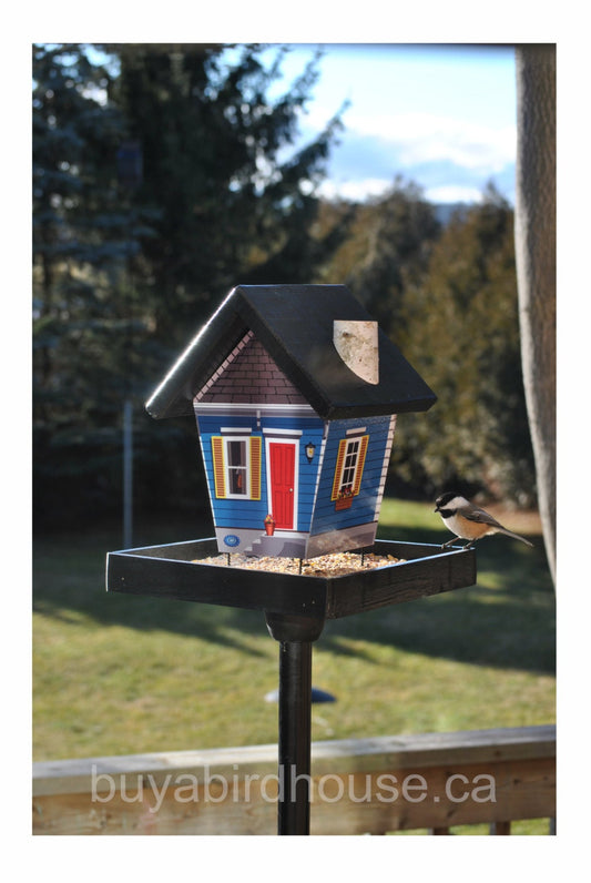 New Orleans Shotgun Style Bird Feeder/Birdhouse