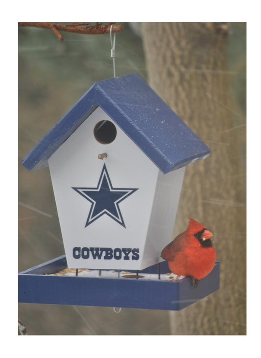 Dallas Cowboys Bird Feeder