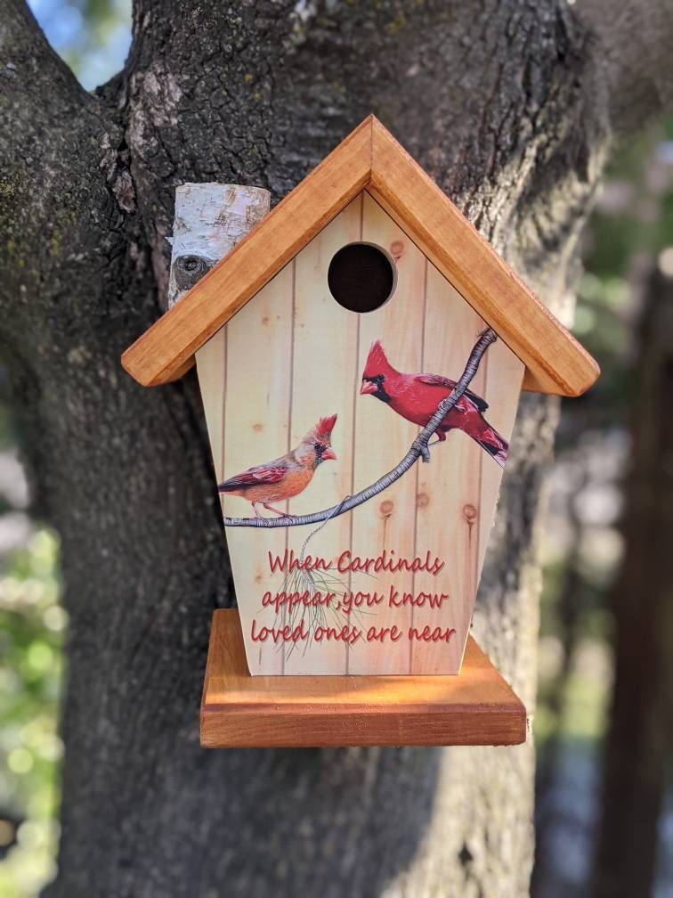 Cardinal (Stained Roof) Birdhouse/Feeder