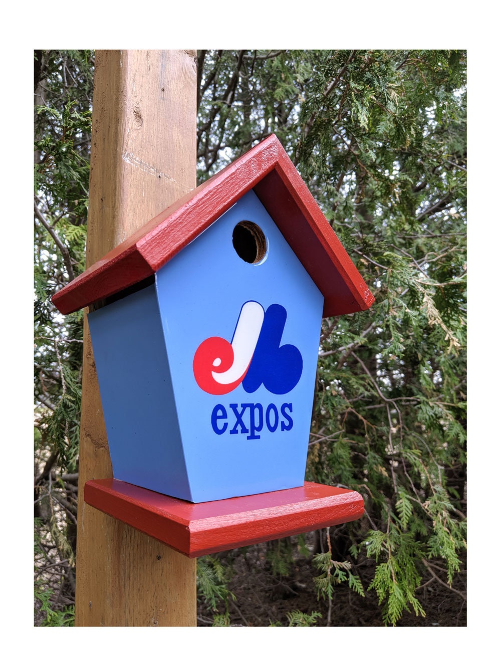 Montreal Expos Birdhouse/Feeder