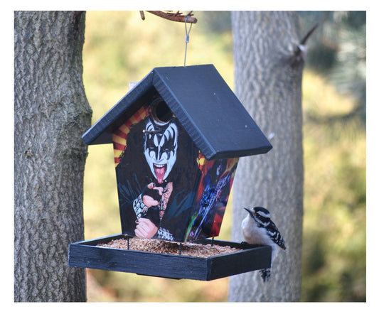 Kiss Bird Feeder Music