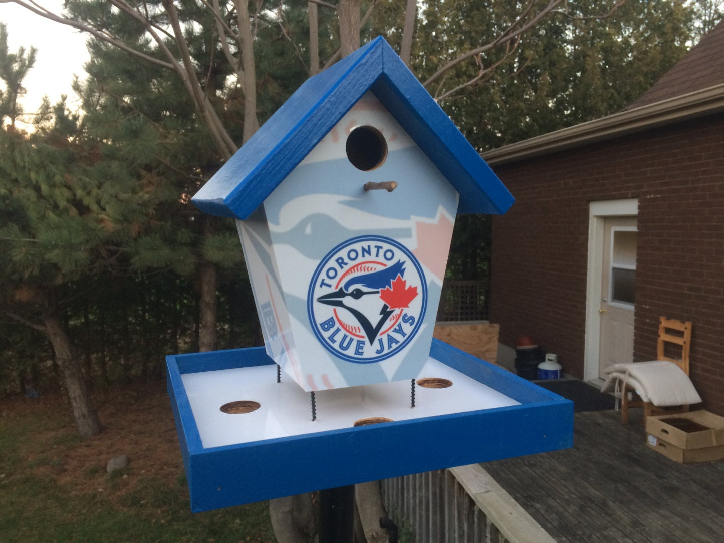 Blue Jays Bird Feeder/Birdhouse