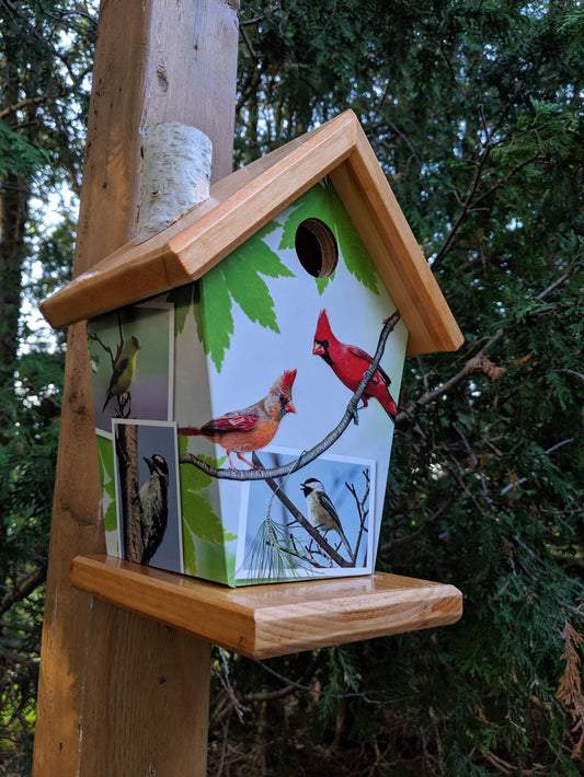 Cardinals and other birds of Ontario Birdhouse