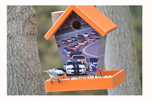 Nascar Bird Feeder/Birdhouse