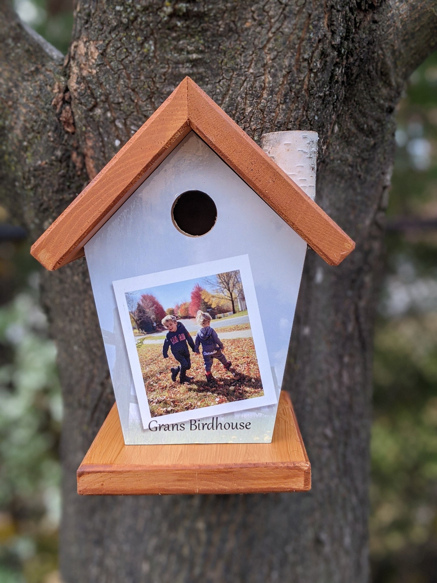 Personalized (3 Images) Birdhouse