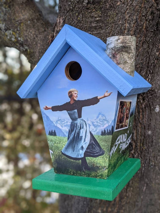 Sound Of Music Birdhouse