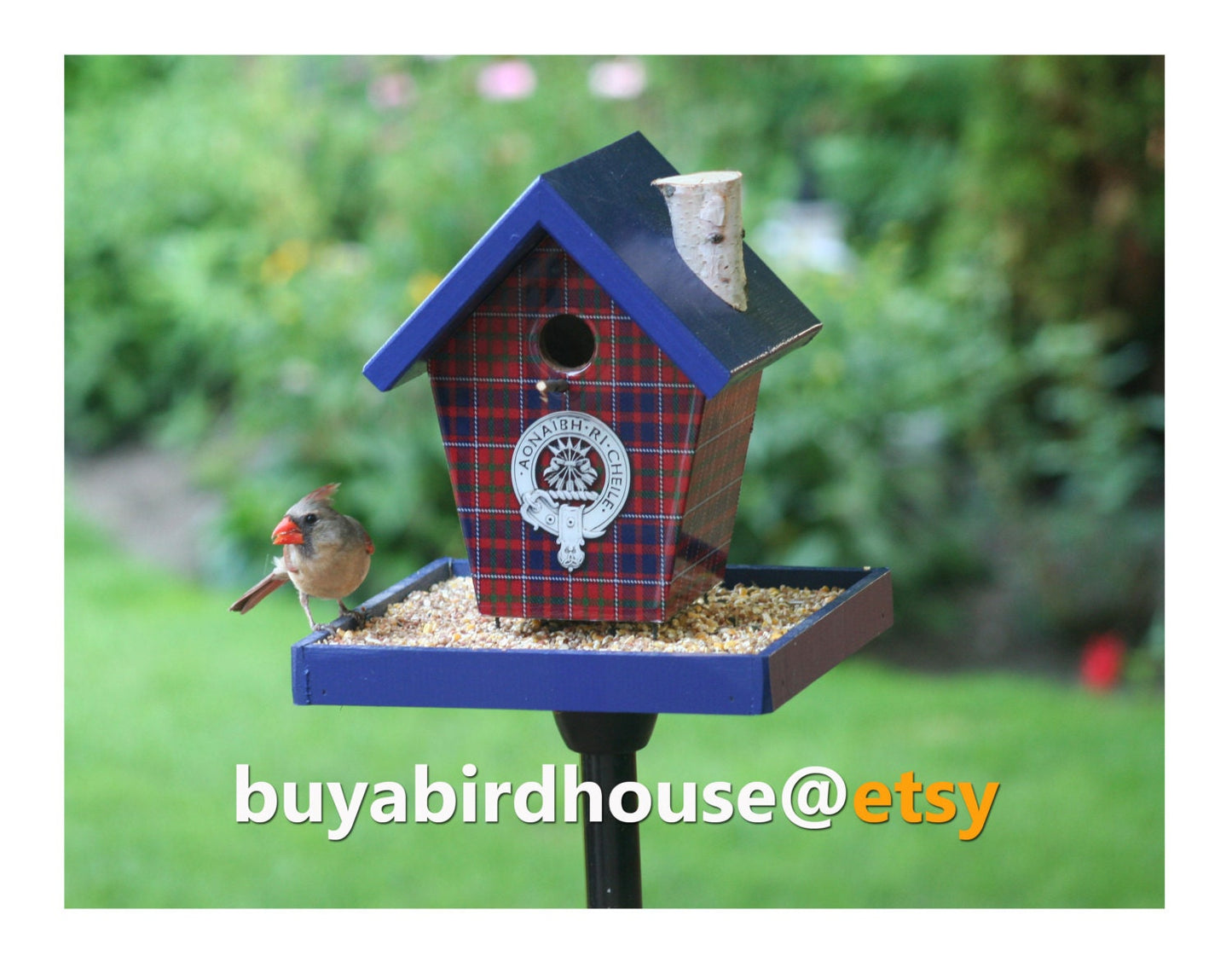 Cameron Clan Bird Feeder/Birdhouse
