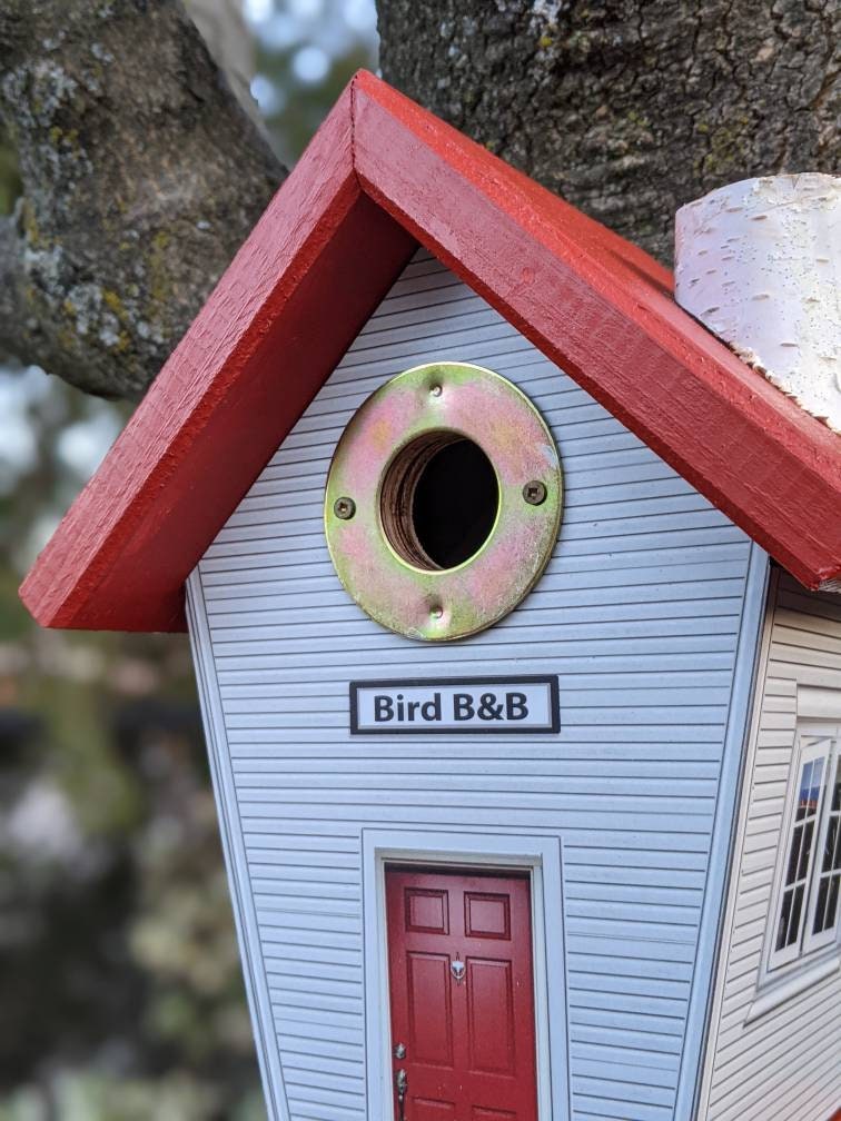 Birds B & B (Hole Protector) Birdhouse/Feeder