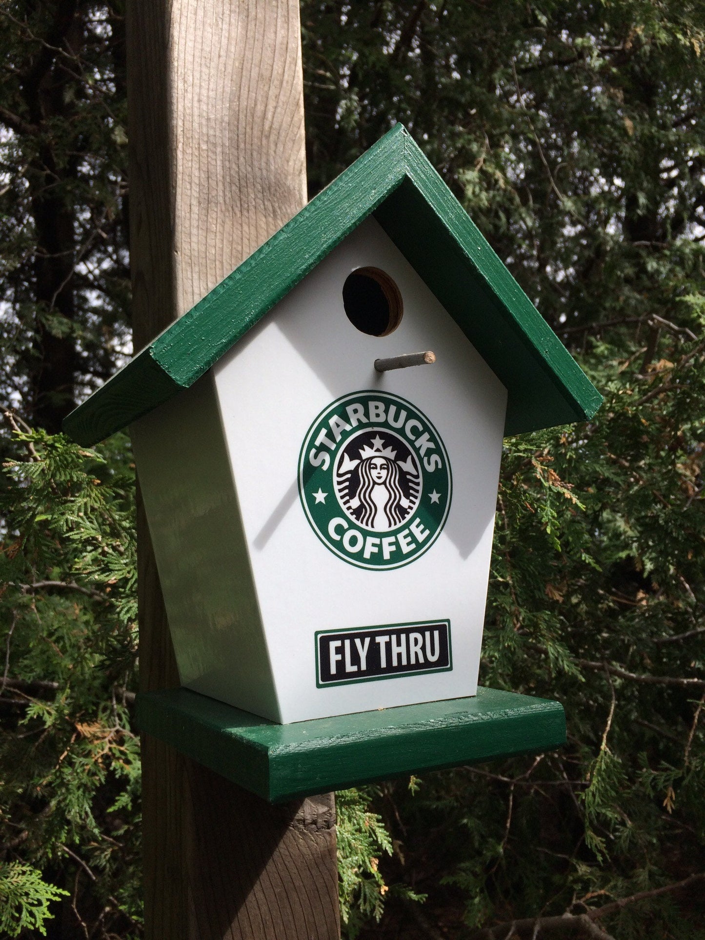 Coffee Lovers (Green Roof) Birdhouse/Feeder