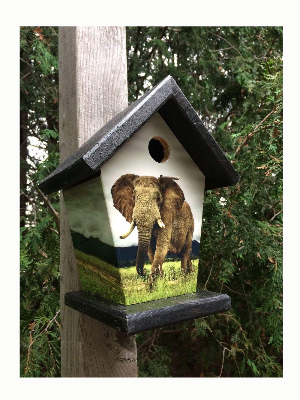Elephant Birdhouse/Feeder