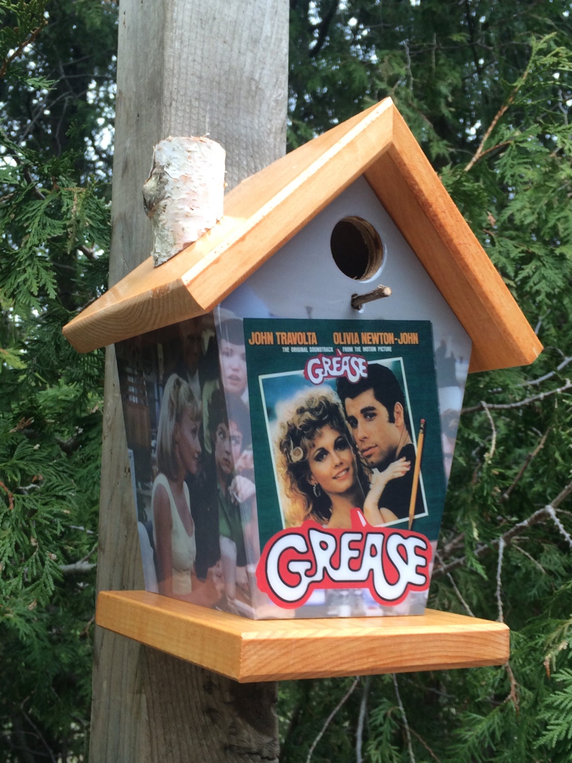 Grease Birdhouse/Feeder